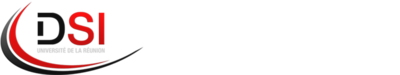 Direction des Systèmes d'Information (DSI)